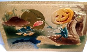 Halloween Postcard Fantasy Turtle Owl Frog Moon Goblin Honk Mushroom Pond 1911 