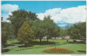 Park, KAMLOOPS, British Columbia, Canada, 40-60's