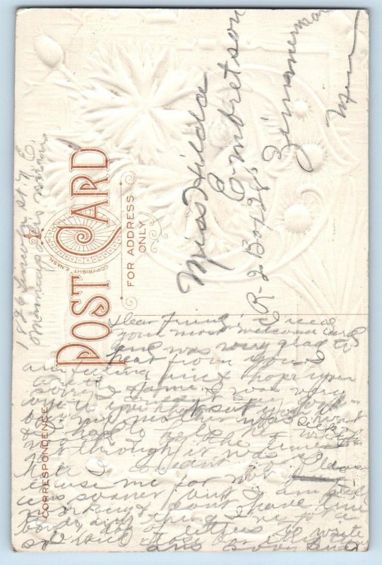 Minneapolis Minnesota MN Postcard Cornflower Constancy Embossed c1910's Antique