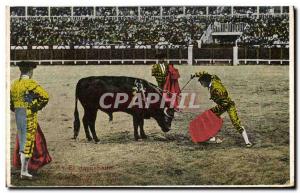 Postcard Old Bulls Bullfight Race