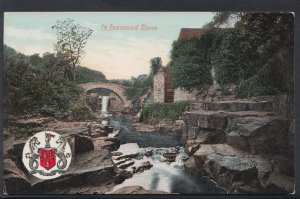 Northumberland Postcard - In Jesmond Dene   RS6590