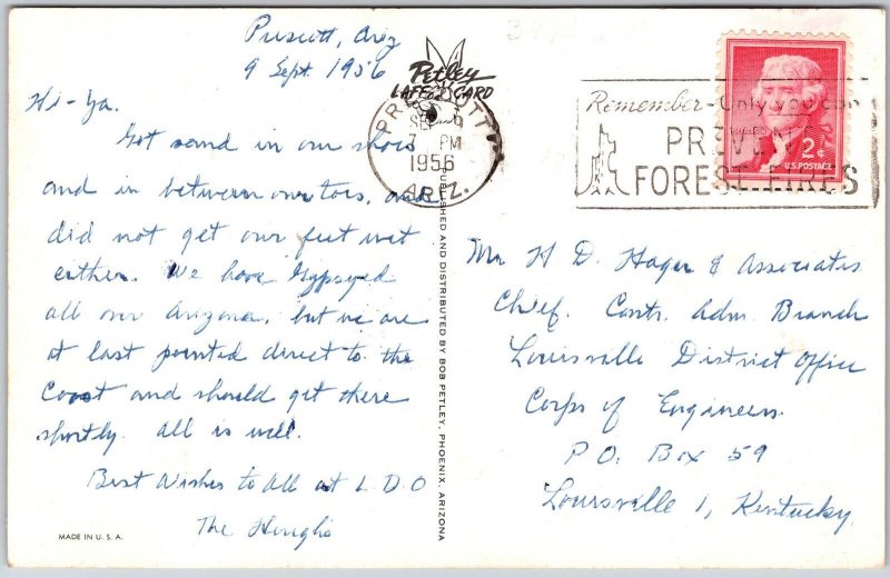 1956 Man Shouts Holding Toilet Paper In Desert Powder Room Posted Postcard