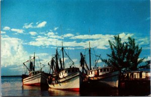 Vtg Shrimp Boats along the Coast of Florida FL Unused Chrome Postcard
