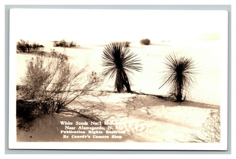 Vintage 1930's RPPC Postcard White Sands National Park Alamogordo New Mexico