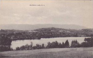 New Hampshire Blaisdale Lake Artvue