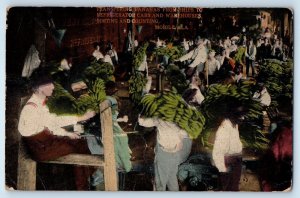 c1917 Mobile Alabama AL Postcard Transferring Bananas Ships Car Warehouse Posted