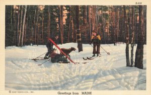 Greetings From Maine Curt Teich Linen Postcard