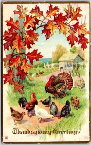 1914 Thanksgiving Greetings Tukkey Rooster & Chicken In Yard Posted Postcard