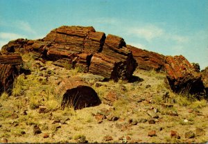 Arizona Petrified Forest National Park