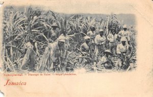 US5466 jamaica caribbean sugar plantation types folklore