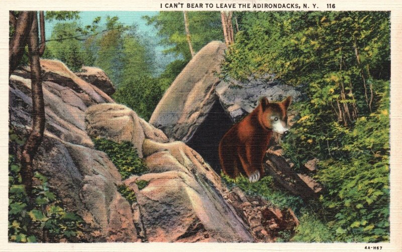 Vintage Postcard 1930's I Can't Bear to Leave The Adirondacks New York NY