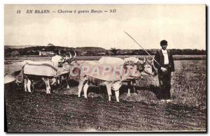 Postcard Old Plow hitch in Bearn four oxen