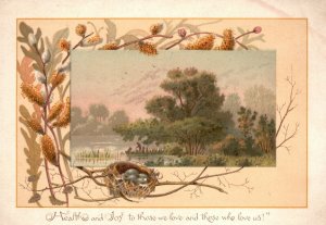 1880s-90s Eggs in a Nest Tree Limbs Health & Joy to Those We Love Trade Card