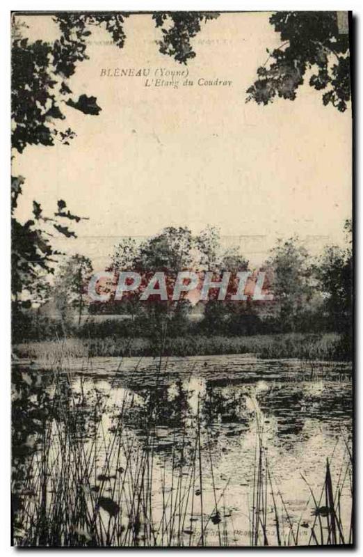 Old Postcard Bleneau L & # 39Etang Du Coudray