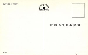 Oh Deer! A Young Buck