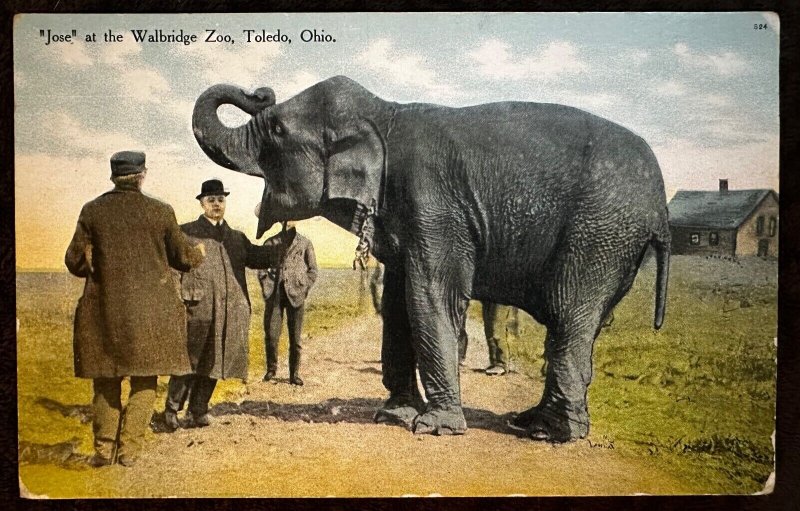 Postcard Elephant Jose at the Walbridge Zoo in Toledo, Ohio