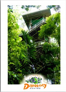 Postcard Australia Queensland Daintree Discovery Centre Rainforest