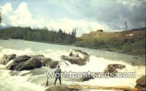 Bulkley River Canada, du Canada Native Catching Salmon Bulkley River Native C...