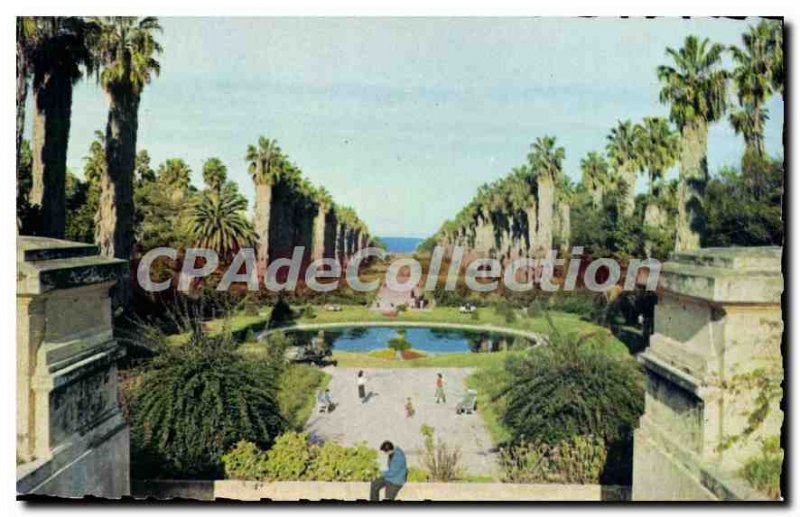 Postcard Old ALGIERS test garden