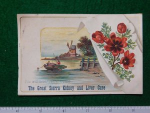 1870s-80s Sierra Chemical Co Kidney & Liver Cure Victorian Trade Card F30