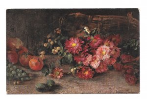 Art Still Life Fruit Flowers Johanna Destouches Signed TSN Serie 976 Postcard