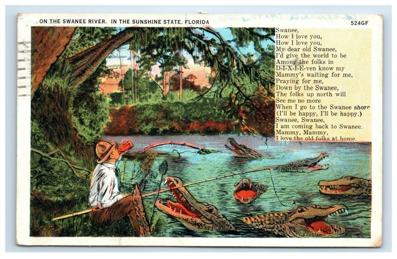 On The Swanee River Florida Postcard Alligators Man Fishing 