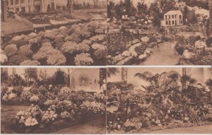 FLOWER EXPOSITION Gand 1908, 1933,1955 Belgium 42 Vintage Postcards (L5473)