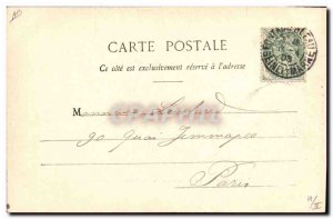 Old Postcard Hunting hounds in a Forest of Fontainebleau The Pack Dogs Dog