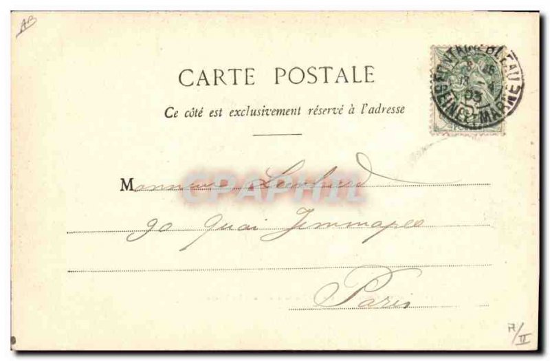 Old Postcard Hunting hounds in a Forest of Fontainebleau The Pack Dogs Dog