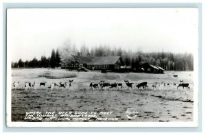 Vintage RPPC Frashers Deer Lodge at Kaibab National Forest, AZ Postcard P87