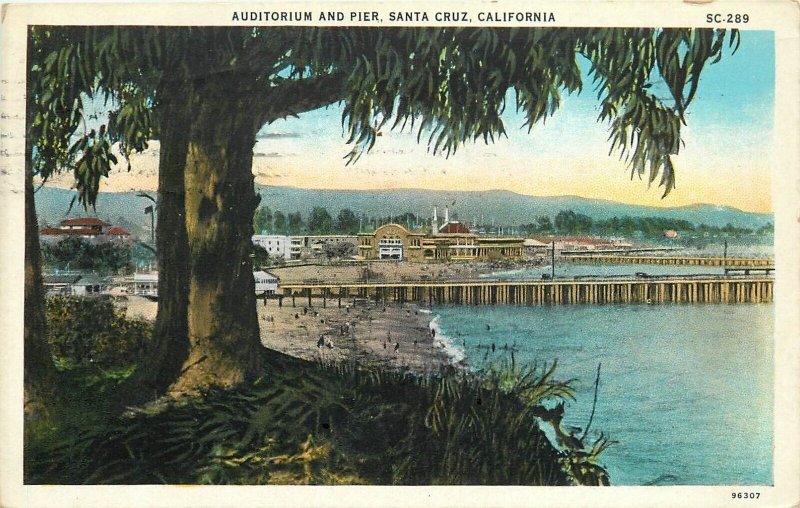 Postcard 1933 California Santa Cruz Auditorium & Pier Pacific Novelty CA24-689