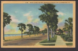 Florida -  Road along the Bay between Dunedin and Clearwater pm1945 ~ Linen