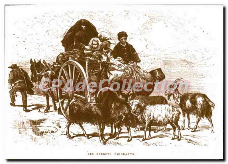 A Modern Postcard Tempi Fa Di Corsica Transhumance Shepherds Emigrants