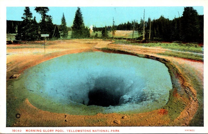 Yellowstone National Park Morning Glory Pool Haynes Photo