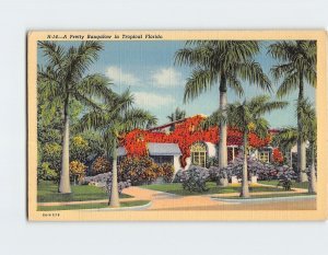 Postcard A Pretty Bungalow in Tropical Florida