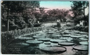 1911 St Paul, Minn. Como Park Lily Pond Litho Photo Postcard Victorian Women A36