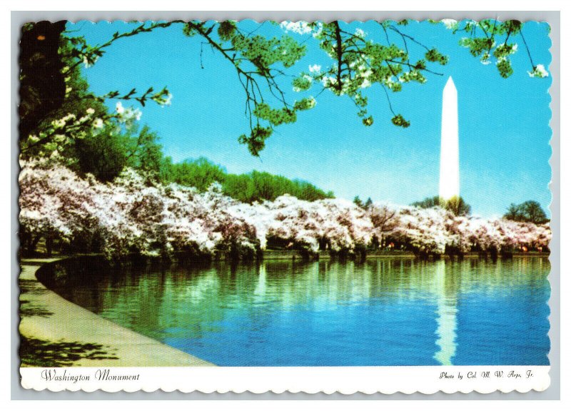 The Washington Monument Vintage Postcard Continental View Card #2 Cherry Trees