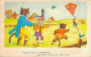 Cats Dressed As Humans Kittens Kite Vintage Postcard  06.39