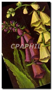 Postcard Old Digitalis Purpurea And Ambigua Digital Flower