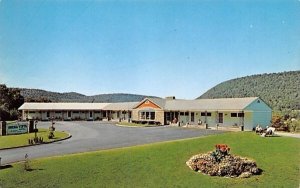 Buena Vista Motel Delhi, New York Postcard