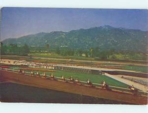 Unused 1950's HORSE & SANTA ANITA RACETRACK Arcadia California CA Q8182