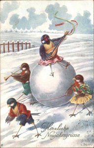 German New Year Fantasy Dressed Birds Sing Play Music C. Ohler Postcard