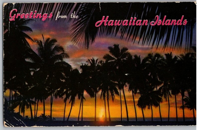 Sunset Through the Palm Trees Hawaii Postcard Posted 1968