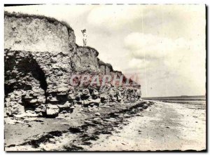 Modern Postcard Sea Lion On The Cliffs