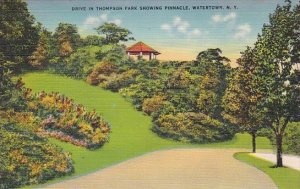 New York Waterown Drive In Thompson Park Showing Pinnacle