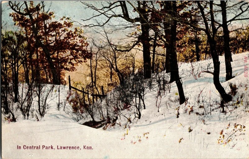 Snowy View in Central Park, Lawrence KS Vintage Postcard J65