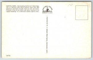 Sacramento, California Postcard - Capitol Park