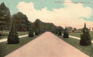 Vintage Postcard 1910's Driveway Cave Hill Cemetery Louisville Kentucky K.Y.