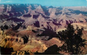 United States Grand Canyon Arizona Grand view point