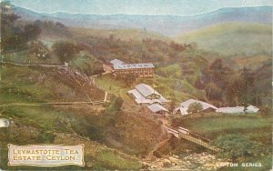 Lipton tea advertising vintage postcard Leymastotte Tea Estate Ceylon c.1910